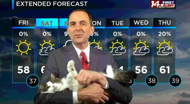 Diretta meteo... con ospite inatteso